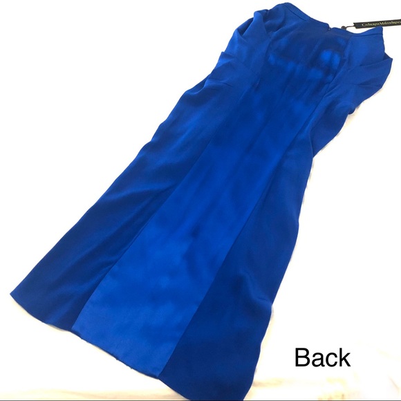 NW0T 100% Silk Catherine Malandrino Haute Couture silk maxi skirt - Picture 14 of 16